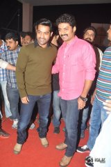 Temper Movie Audio Launch